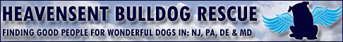 Heavensent Bulldog Rescue Logo
