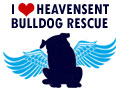 Heavensent Bulldog Rescue Logo
