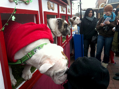 kissing booth