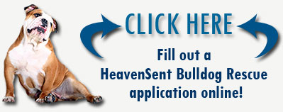 Click here to fill out an adoption application online