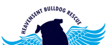 heavensent bulldogHeavensent Bulldog Rescue Logo rescue logo